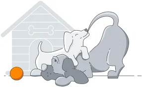 Evcil Hayvan Sigortası ile Ekonomik Kazançlar